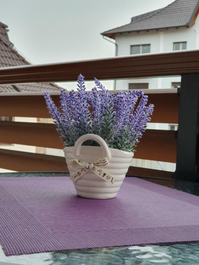 Zlatibor Hills Lara Aparthotel Exteriör bild
